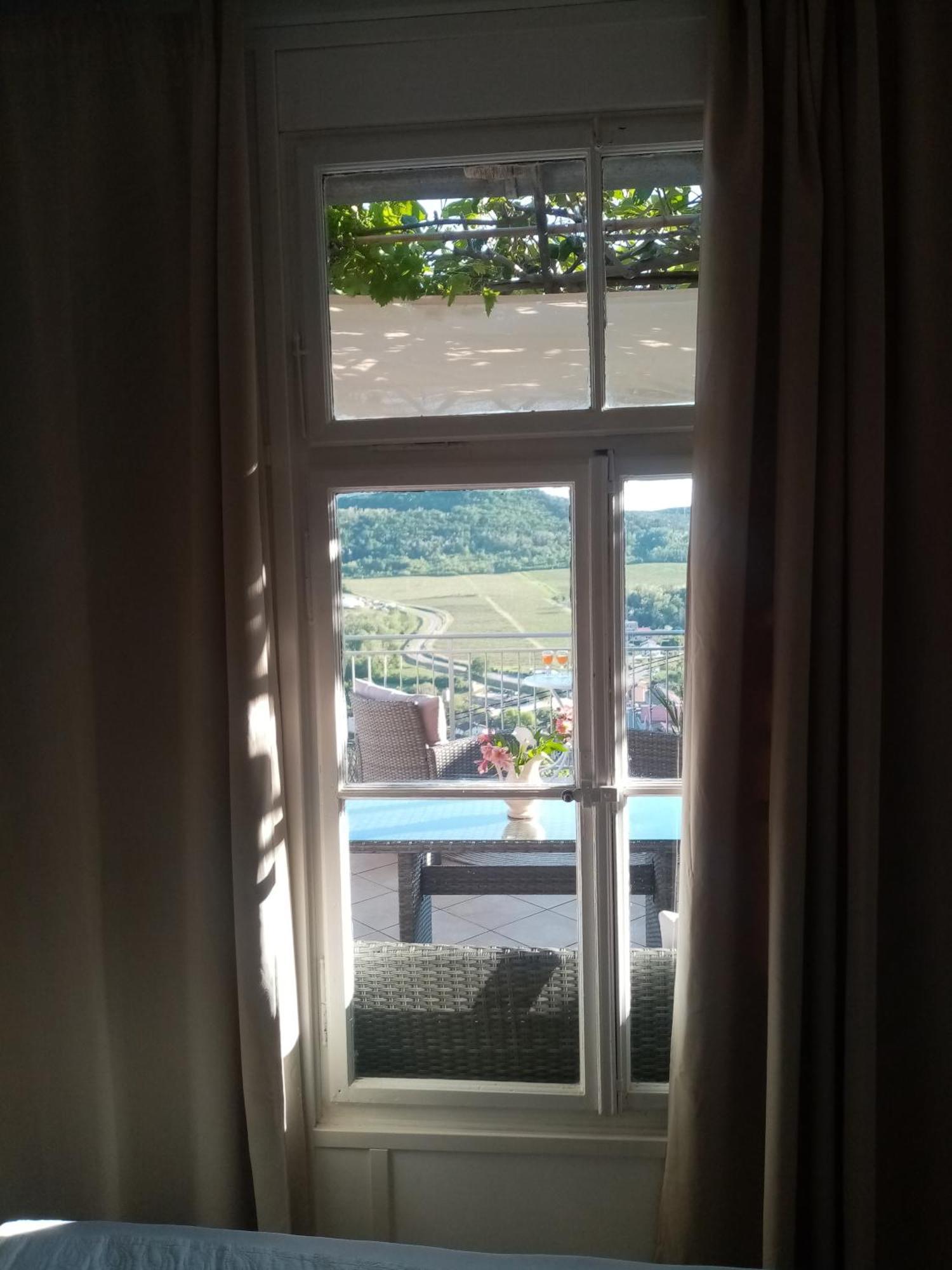 Studio Apartman Bel Vedere Motovun Exterior foto